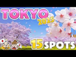 Cherry Blossom Spots in Tokyo 2025 / Things to know before traveling to Japan / Sakura Travel Tips