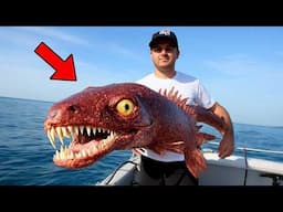 1 Hour of Most Terrifying Sea Creatures Caught Alive on Camera