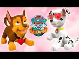 PAW Patrol Rescue World: The Valentine's day mission