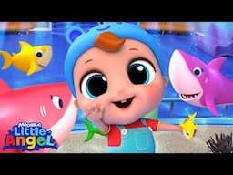 Baby Shark At The Aquarium! 🫧 | Little Angel | Farm Animals Nursery Rhymes