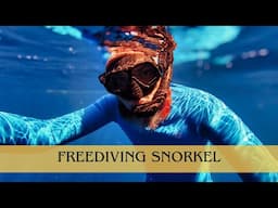 Why Freedivers Use a Snorkel | ALCHEMY SNORKEL REVIEW