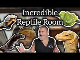 Reptile Room Tour Feeding Giant Lizards at Mike's Monitors ‎@mikesmonitors1148 