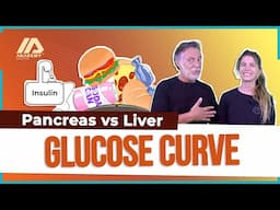 Pancreas vs. Liver on the glucose curve