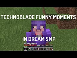 Technoblade Funny Moments in Dream SMP