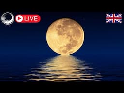 🔴 24/7 Continuous Sleep Hypnosis [Powerful] Voice Only (British) Black Screen