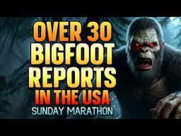 OVER 30 BIGFOOT REPORTS IN THE USA - Sunday Marathon