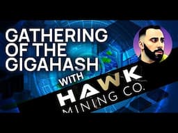 Crypto mining facilities and web3 infrastructure with @HawkCryptoMiningCo - GotGh#3