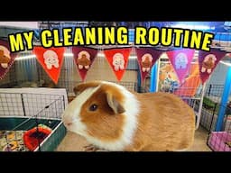 My Guinea Pig Cleaning Routine ❤️