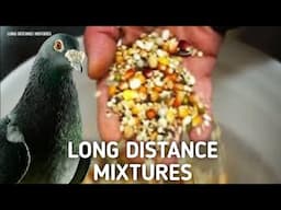 LONG DISTANCE MIXTURES - What are the Best Pigeon Mixtures for Long Distance Racers?