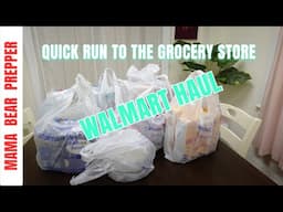 QUICK Walmart Grocery HAUL!