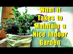 SPIDER FARMER NEW G12 GARDEN - HYDROPONIC GARDEN MAINTENANCE