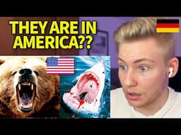 Shocked GERMAN reacts to the Most Dangerous Animals in the US