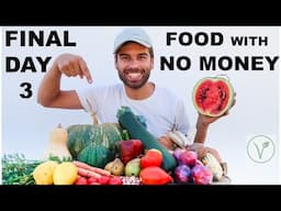 HOW TO EAT WITH NO MONEY - CHALLENGE FINAL DAY 3/3