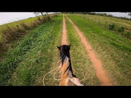 TRAIL RIDE on the WILD HORSE! (FULL POV VIDEO) | Taming A Wild Horse [EP24]