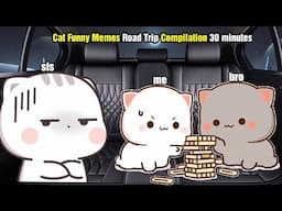 Cat Funny Memes Road Trip Compilation 30 minutes