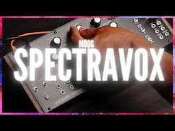 Moog Spectravox - Accidental Arpeggios feat. Moog Subharmonicon