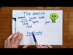 Words I heard at the dentist - basic dental vocabulary