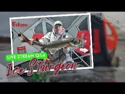 Good Morning LIVESTREAM from the St Croix River (Ice Fishing Sturgeon)