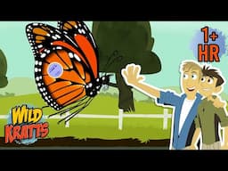 Western Monarch Butterfly Day (Feb 5th) | Monarch's Amazing Journey | Full Episodes | Wild Kratts