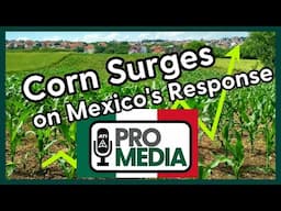 Corn Surges on Mexico's Response