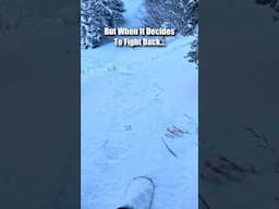 When The Powder Fights Back #snowboarding #skiing #crash #powder #fail #addictive #snow #lol #winter