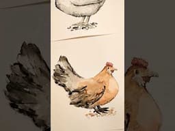 Current Project: Chickens.