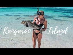 KANGAROO ISLAND 🦘🌴 Spearfishing, Seals & Stunning National Parks ~ Part 2