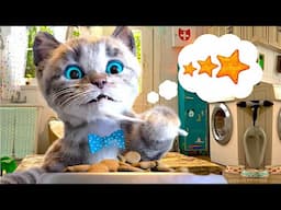 CUTE LITTLE KITTEN ADVENTURE  OF A LITTLE KITTY 😸 Cat Play Fun Pet Care VIDEO FOR PRESCHOOLERS #1196