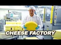 What Is The Process Of Making Cheese?