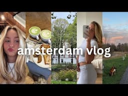 amsterdam vlog | busy days as a co-founder, january blues, acne updates, applying for my masters