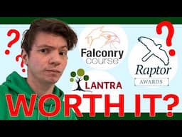 Falconry Courses Reviewed: Are They Really Worth It?