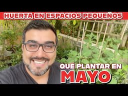 Huerto en espacios pequeños  Que plantar en el huerto en Mayo