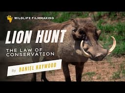 Lion Hunt  - The Law of Conservation