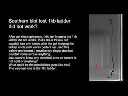 Southern blot test 1 kb. ladder did not work?