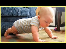 TOP Funniest Baby You've Ever Seen || 5-Minute Fails