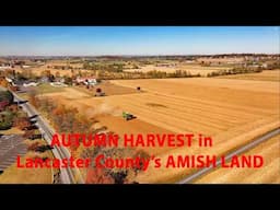 AUTUMN in AMISH LAND Harvesting Soybeans in  Lancaster County, PA...