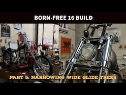 BORN-FREE 16 BUILD: PART 5, NARROWING WIDE GLIDE TREES