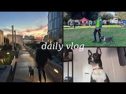 A Day In My Life as a Dog Dad : Owning my Mistakes, Keeping Faith & Daily Hustle