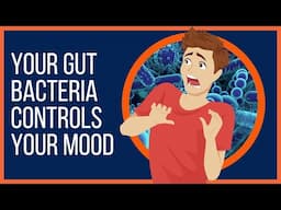 How Your Gut Bacteria Controls Your Mood