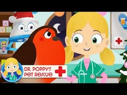 Twinkle The Robin 🐦 | Doctor Poppy - Animals For Kids | Cartoon Animals