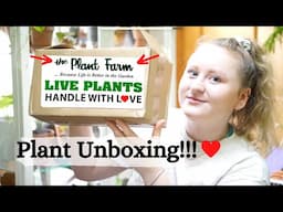 PLANT UNBOXING/HAUL | THE PLANT FARM [ETSY] REVIEW