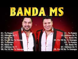 Banda MS 2024 ~ 10 Maiores Sucessos ~ Grandes Exitos