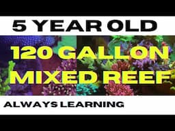 A FIVE YEAR OLD, 120 MIXED REEF AQUARIUM - ALWAYS LEARNING