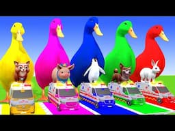 5 Giant Duck Cartoon,Super Mario ,Tiger, Cow,Lion,Paint Wild Animals Crossing Fountain Animation