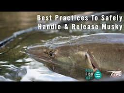 Best Practices To Safely Handle & Release Musky