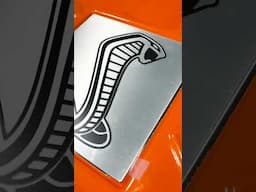 Cobra Snake on Apex Shark Lid #vmpperformance