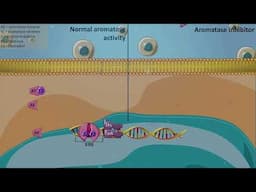 Aromatase inhibitors