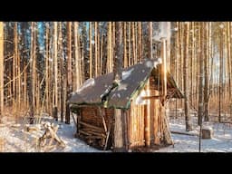 My log cabin in the woods warmed me up. My off grid life. Outside -8°C inside +25°C. Cooking.