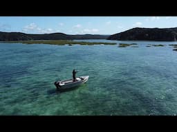 The Most Fish i Have Ever Seen! Private Access NZ Harbour