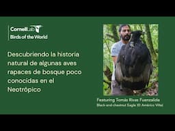 Rapaces de Bosque Poco Conocidas en el Neotrópico con Tomás Rivas Fuenzalida | Birds of the World